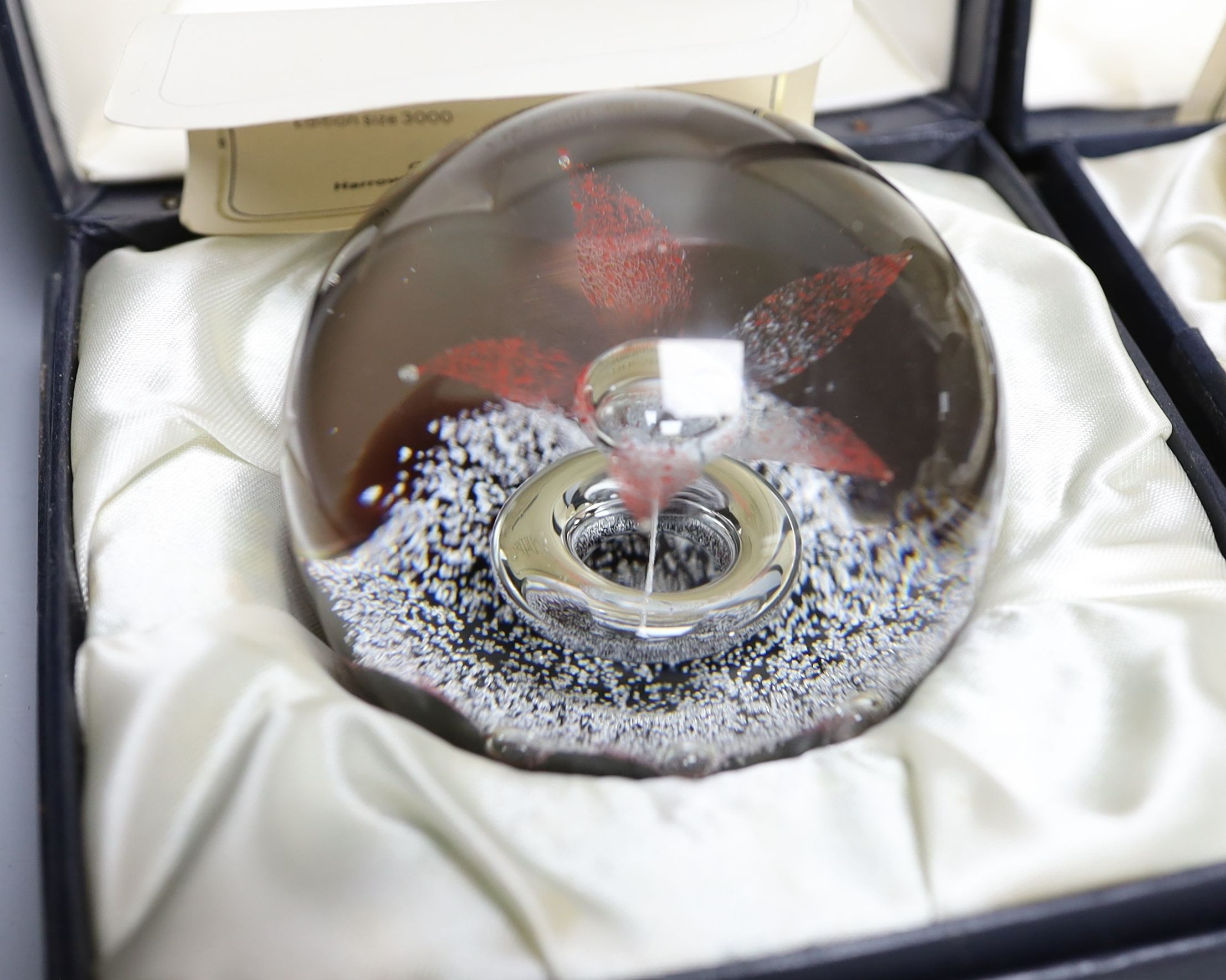 Four cased Caithness glass paperweights